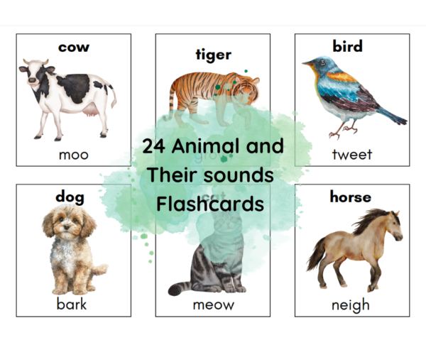 24 Animal Sounds Flashcards