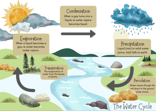 The Water Cycle เรียนรู้วงจรการเกิดน้ำ