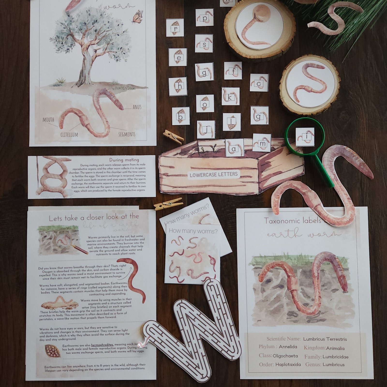 Earth worm unit study pack มารู้จักไส้เดือนดินกันเถอะ